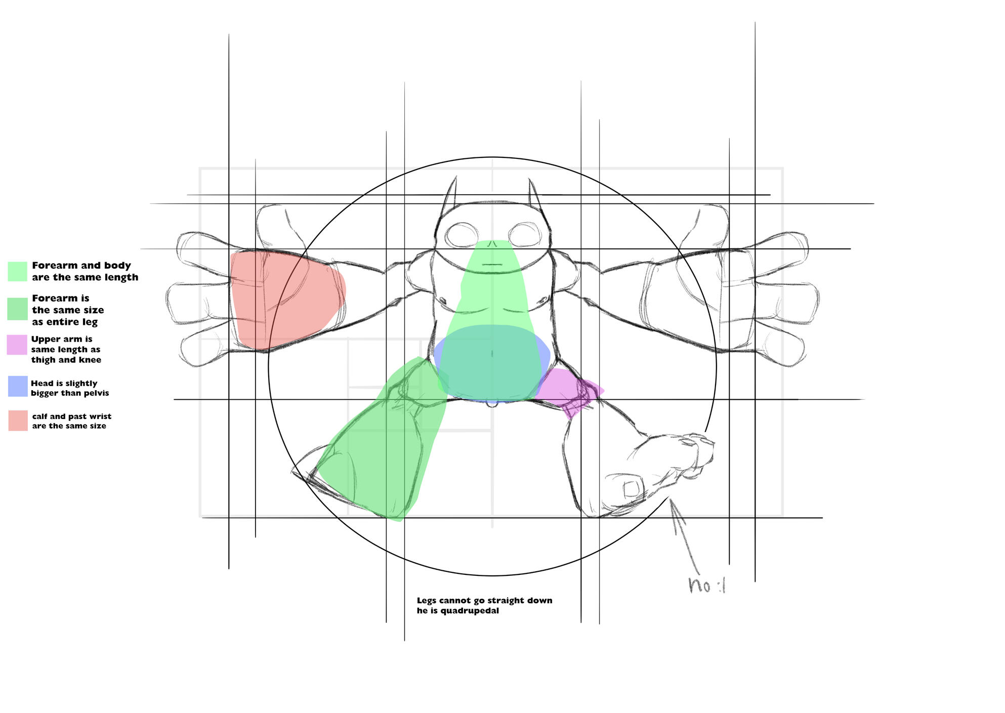 Vitruvian Willowbee